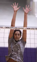 Amanda Gil Settling In As A Husky