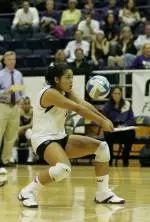 Five Huskies Honored By AVCA