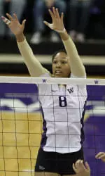 Huskies Building A Block