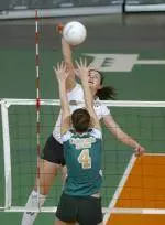 No. 11 Washington Volleyball Sweeps Washington State