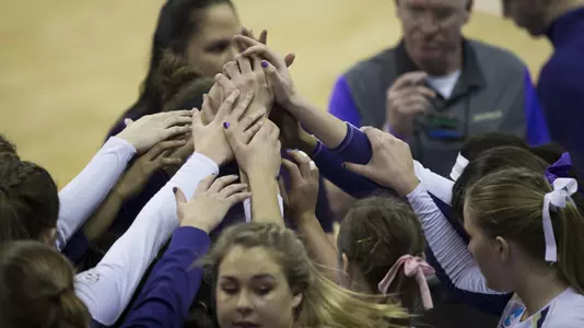 Volleyball Team 2014