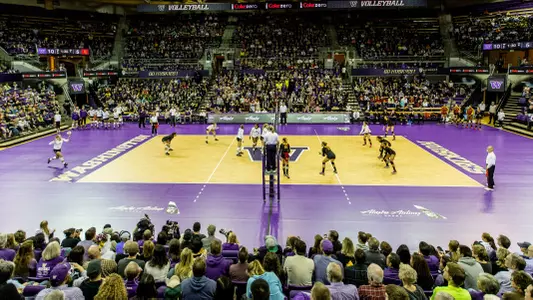 Team Arena Fans 2015