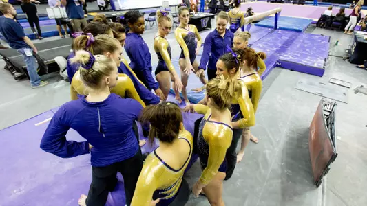 GymDawgs
