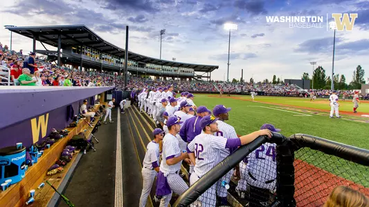 Husky Ballpark, Scenic, crowd