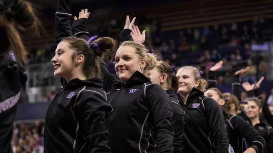 GymDawgs