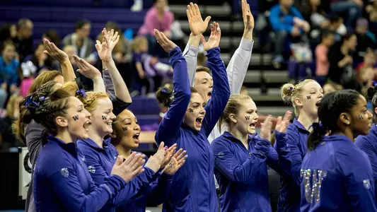 GymDawgs