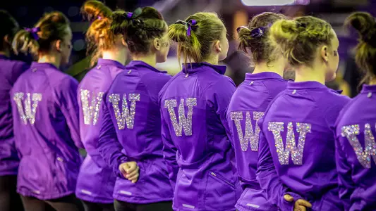 GymDawgs
