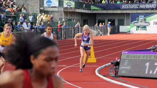 Baylee Mires 2016 NCAAs