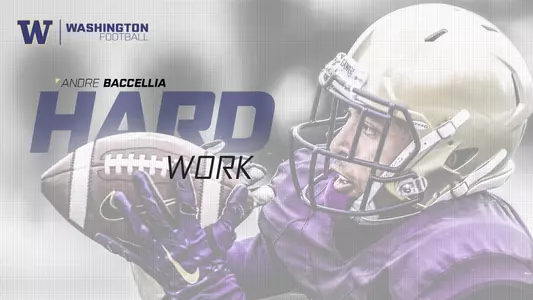 Baccellia-Hard-Work-Hero