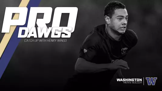 Wingo #ProDawg