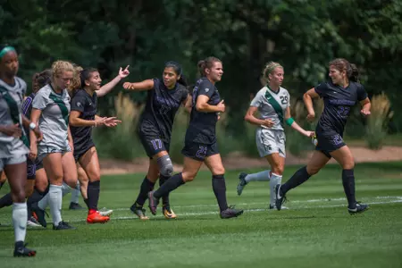 Michigan State Celebration