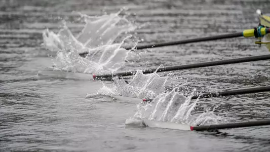 UW women's rowing oars in the water