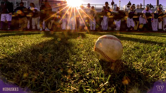 Husky Ballpark - Generic