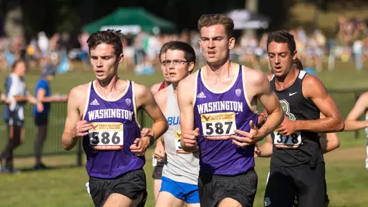 Laccinole and Mohn 2019