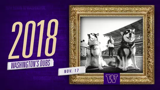 Best of the Decade, Dubs