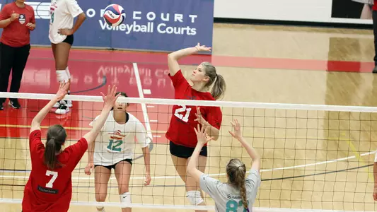 avie niece 2019 usa tryout
