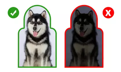 CUTOUT_DUBS_PLACEHOLDER