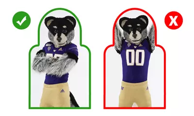 CUTOUT_HARRY