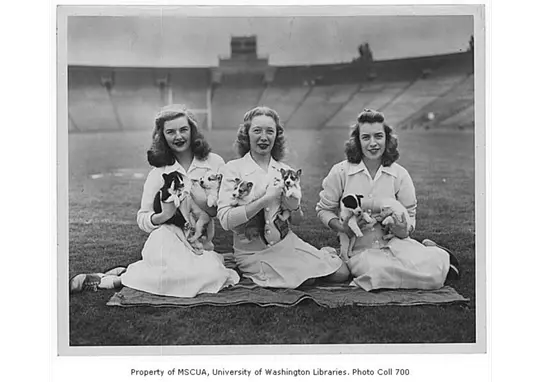 Husky Stadium Centennial, 1946 live mascot