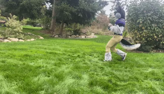 Harry Touchdown Dance