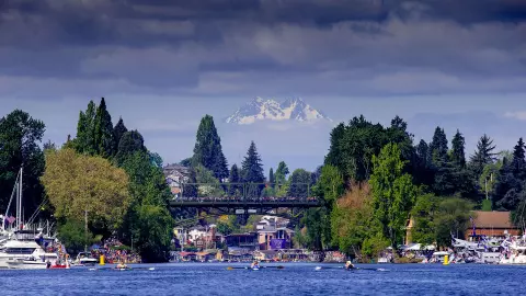 The University of Washington men's & women's rowing teams won both of their races in the Windermere Cup