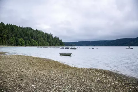 Scenery, Equipment, people at Taylor Shellfish Farms.