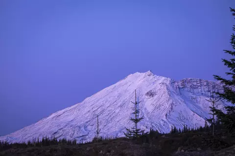 CK9 handlers and their dogs search out carnivore scat in the mountains south of I-90 in the Mt St Helens area.