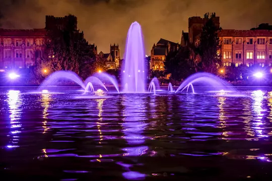 Drumheller Fountain lit purple for the togetheruw campaign launch