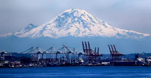 volleyball seattle recruiting