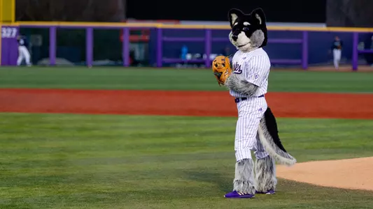 Harry The Husky With Baseball Mitt