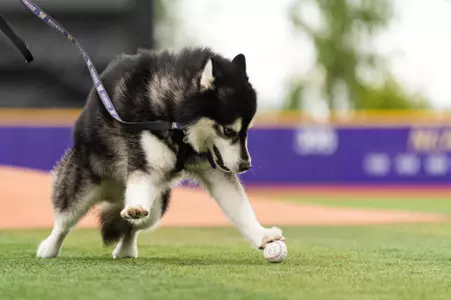 Dubs Throws Out First Pitch Of Double-Header Vs. UCLA On May 7, 2022