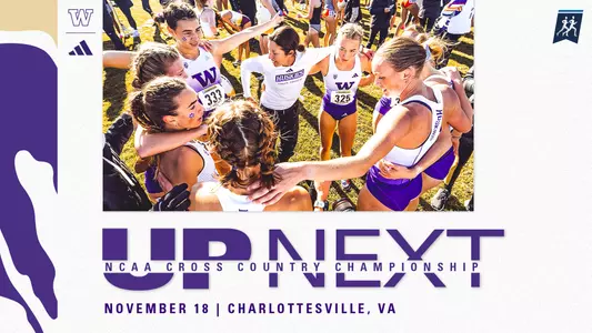 up next ncaa xc