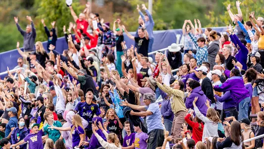 Soccer Fans