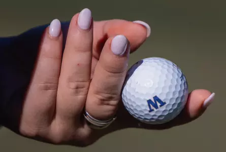 WGOLF stock photo