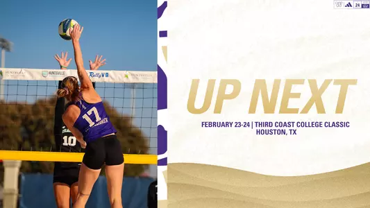 Beach Volleyball Graphic