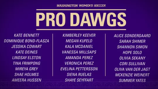 WSOC - Pro Dawgs Top Banner