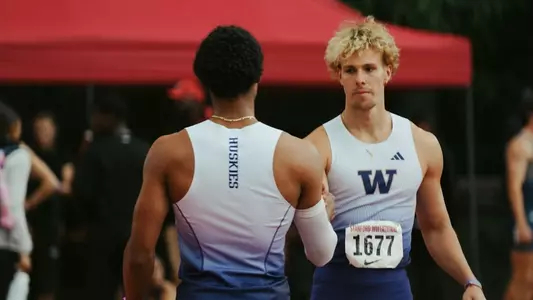 Bruno Comin Pescador 2024