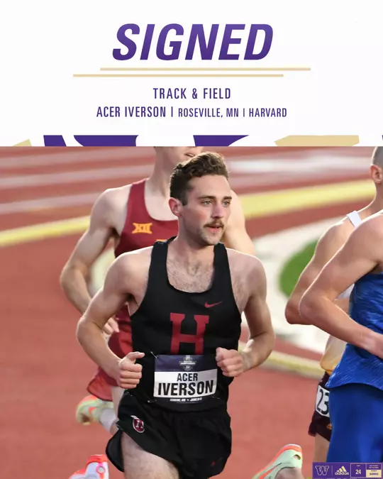 Acer Iverson