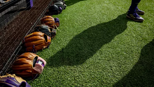 Softball Stock Photo of Gloves