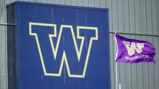 Washington Flag Stock Photo