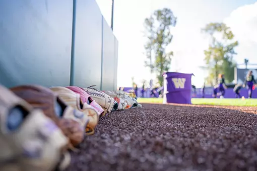 UW softball stock photo