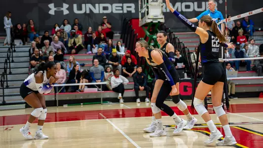 team celebration 2025