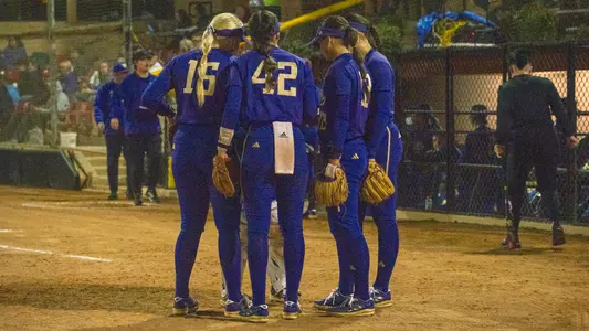 Softball Team Huddle