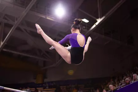 taylor gym cal recap pic