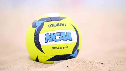 New Signees BVB 25-26