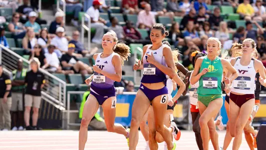 foerster and o'sullivan