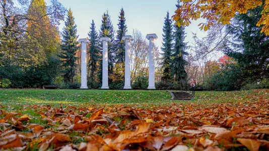 sylvan grove columns