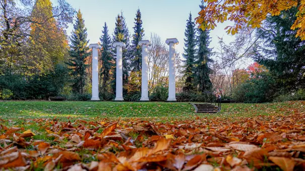 sylvan grove columns