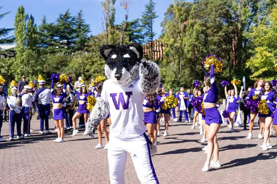 Harry the Husky pointing at the camera at Dawg Walk