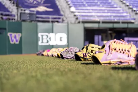 Washington softball glove reveal 2026